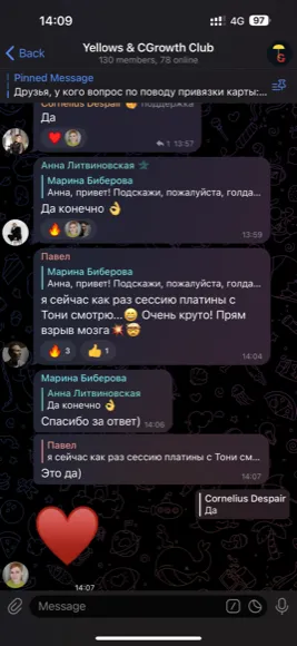 Скриншот отзыва: Павел Синицын
